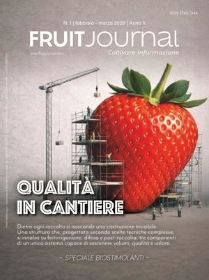 FRUIT JOURNAL | N.1 2026