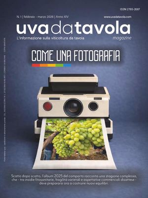 UVA DA TAVOLA | MAGAZINE N.1 2026