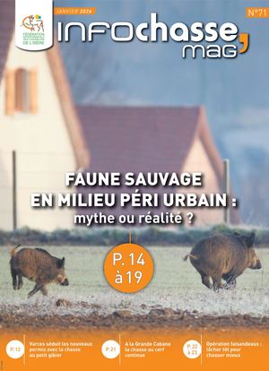 2026 Infochasse N°71 Janvier