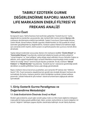 Manterlife Marka Değerlendirme Kriterleri Ve Uygulaması Raporu