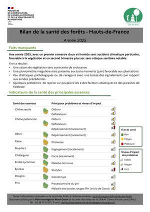 Bilan santé des forêts HDF 2025