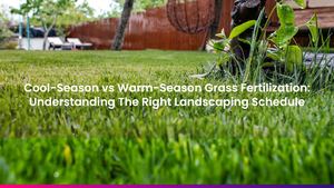 Cool-Season vs Warm-Season Grass Fertilization: Understanding The Right Landscaping Schedule