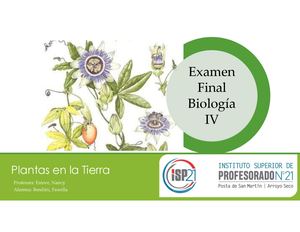 Plantas En La Tierra