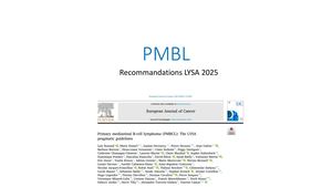 RR LYMPHOME EST 2026 : Recommandations Dans La Prise En Charge Du Pmbl - A.Waultier Rascalou