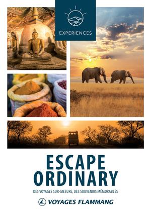 Brochure Expériences