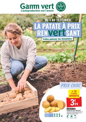 Pommes De Terre Et Bulbes Potagers