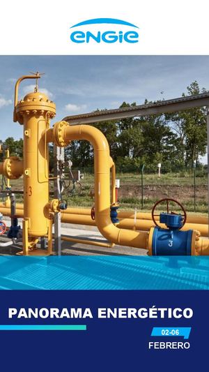 Panorama Energético 06feb