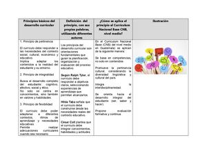 Principios Básicos Del Desarrollo Curricular