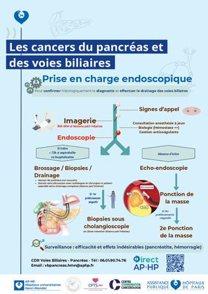 Fiche 2. Protocole, Prise En Charge Endoscopique, GHU Henri Mondor