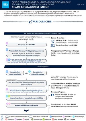 Fiche 9. Charte D'engagement Interne, Hospices Civils De Lyon