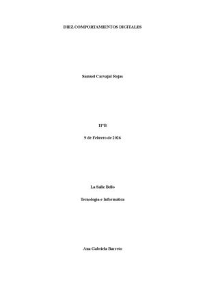 Diez Comportamientos Digitales