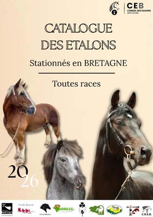 Catalogue Des Etalons 2026