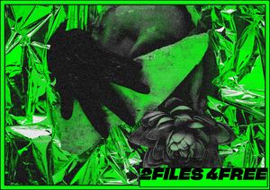 Portfolio 2files4free 2025