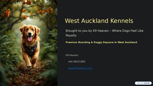 West Auckland Kennels – Trusted Dog Care at K9 Heaven
