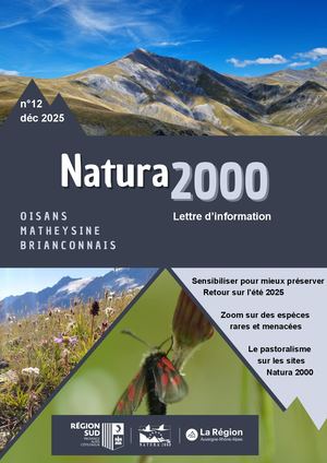 Lettre d'information 2025