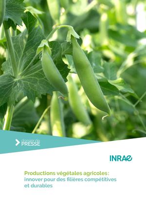 Productions végétales agricoles : innover pour des filières compétitives et durables