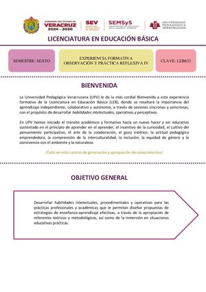 Observación Y Práctica Reflexiva Iv 2026