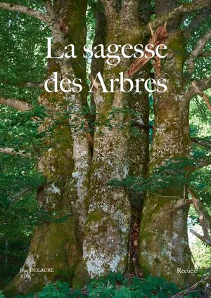 La Sagesse des Arbres