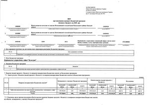 Звіт про виконання паспорта бюджетної програми