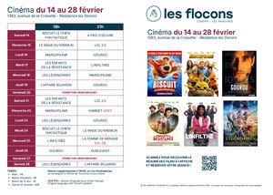 Affiche Cinéma Menuires Flocons