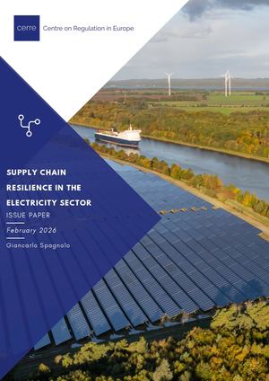 Supply Chain Resilience in the Electricity Sector