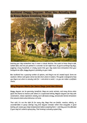 Auckland Doggy Daycare What You Actually Need To Know Before Enrolling Your Dog Compressed