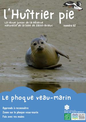 Huitrier Pie 62