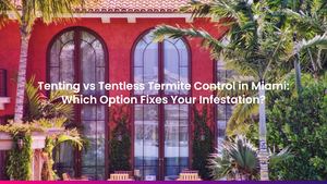 Tenting vs Tentless Termite Control in Miami: Which Option Fixes Your Infestation?