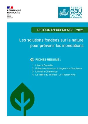 Les solutions fondées sur la nature pour prévenir les inondations. Retour d&rsquo;expérience 2025