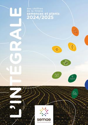 Rapport de Statistiques - Les Chiffres De La Filière Semence et plants - Campagne 24/25