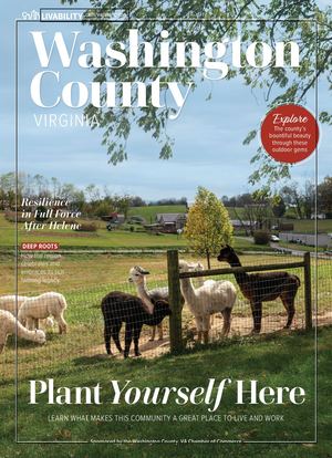 Washington County, Virginia