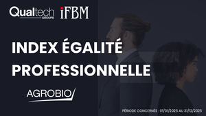 Index égalité professionnelle 2024