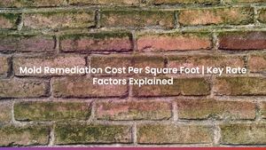 Mold Remediation Cost Per Square Foot | Key Rate Factors Explained