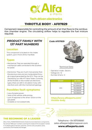 FLY ΣΩΜΓΚΑ AF07829