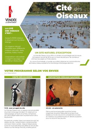 Fiche Groupe Cité des oiseaux