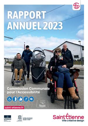 Rapport annuel accessibilité 2023 VSE