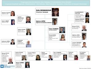 Organigramme GHU Henri-Mondor