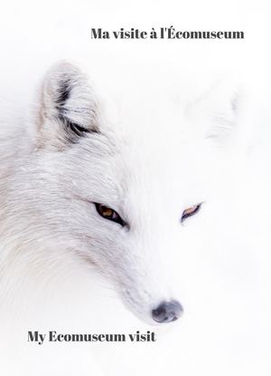 ma visite à l'Ecomuseum