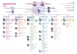 Organigramme général des services
