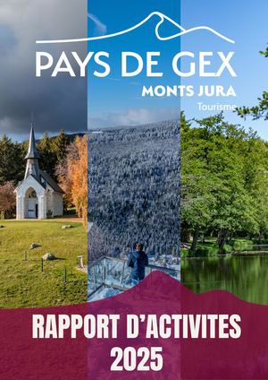 Bilan D'activites 2025