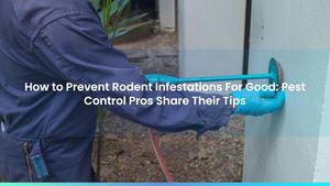 How to Prevent Rodent Infestations For Good: Pest Control Pros Share Their Tips