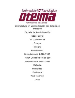 Ensayo De Publicidad