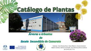 Catálogo Das Árvores E Arbustos Da Escola (1)
