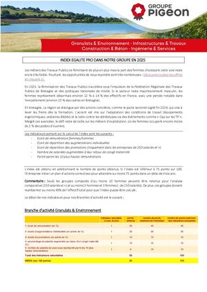 Index Egalite Pro 2025