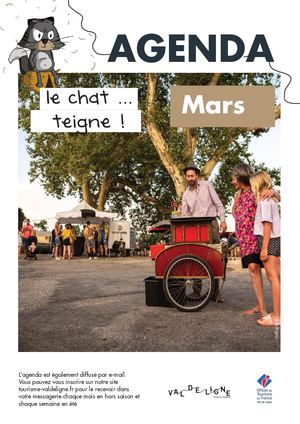 Chat Teigne mars 2026
