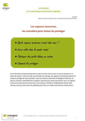 Les Rapaces Nocturnes Les Connaître Pour Mieux Les Protéger