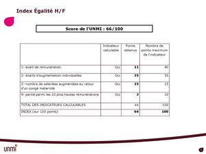 Index Egalite Professionnelle UNMI