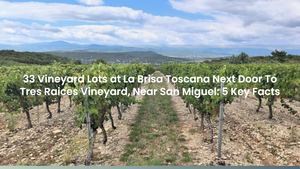 33 Vineyard Lots at La Brisa Toscana Near San Miguel: 5 Key Facts