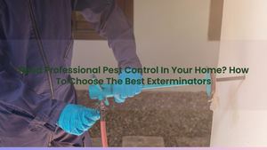 Need Professional Pest Control In Your Home? How To Choose The Best Exterminators