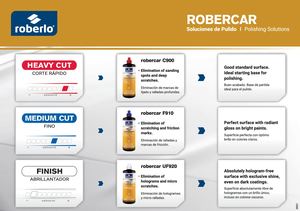 68931 - ROBERCAR serie 900 EN ES